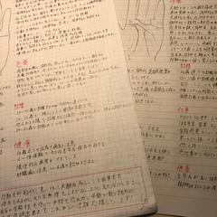 手相分析レポート