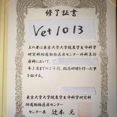 東京大学外科研修医