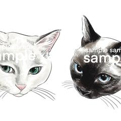 パッケージイラスト