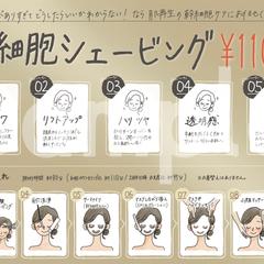 幹細胞ケアの高級感あるメニュー表