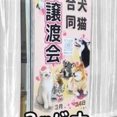 ２メートルバナー