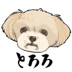 わんこ