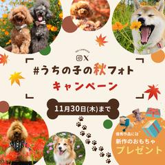 ペットのフォトキャンペーンバナー