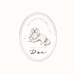 ペットセレクトスタジオ"Doe"様