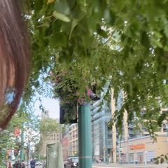 Vlog動画編集サンプル
