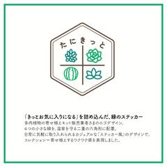 多肉植物　寄せ植えキット販売業者さまのロゴデザイン