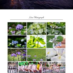 写真家のポートフォリオサイト