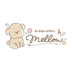 ドッグサロン mellow 様