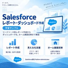 Salesforceレポート作成ポートフォリオ