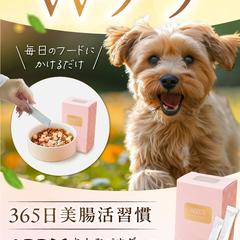 ペットサプリのLP