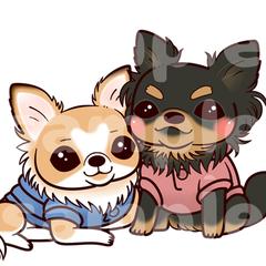 チワワちゃん2匹のイラスト