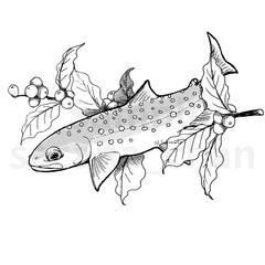 植物と魚のイラスト②