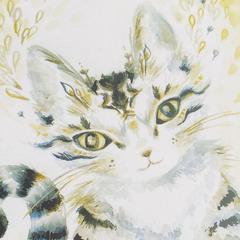 かわいい猫のオラクルカード