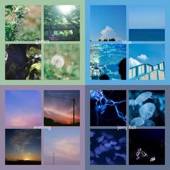 緑・青・夕・海月の写真です