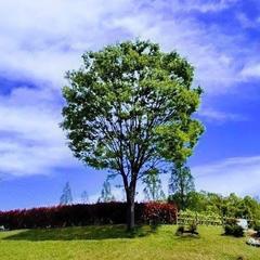 会社選び＊人間関係や良好な職場環境、やりがいを手に入れたい。