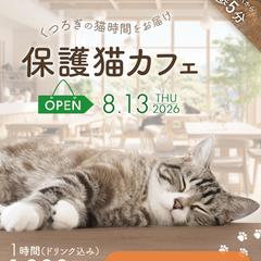 保護猫カフェ オープン告知バナー制作