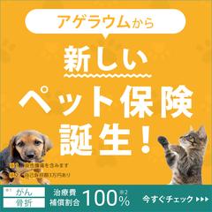 ペット保険のWEBバナー