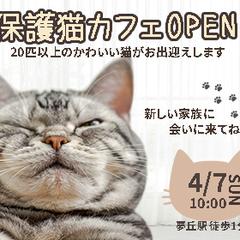 自主制作　保護猫バナー