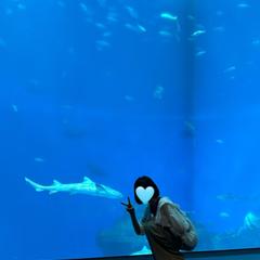 水族館✿