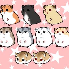ハムスター