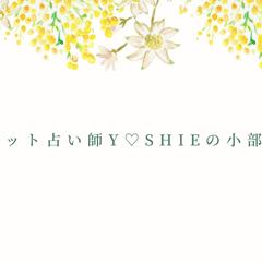 ココナラカバー画像