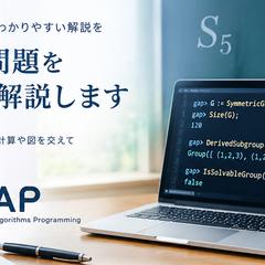 GAP を用いた群論の解説