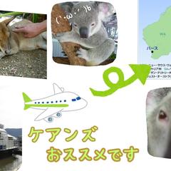 canvaで作成いたします