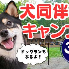 犬連れキャンプのyoutubeサムネイル
