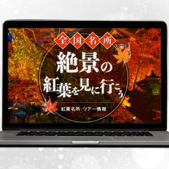 【バナー】絶景の紅葉を見に行こう