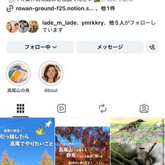 高尾山にいる鳥さん｜野鳥の豆知識Instagram運用