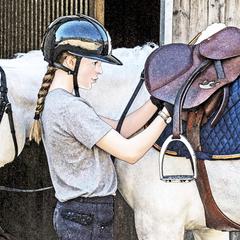 Talking with horse