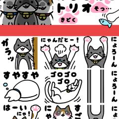 おうちねこトリオ