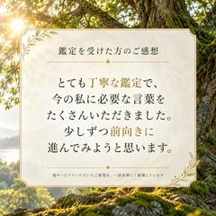 鑑定を受けて頂いたお客様からのご感想