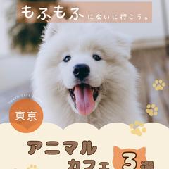 アニマルカフェ３選