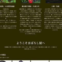 農家ECサイト - トップページ - 2