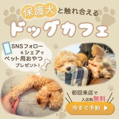 ドッグカフェ