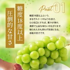 【サンプル】シャインマスカットLP