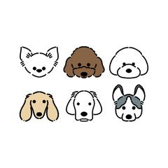 色んなわんちゃん