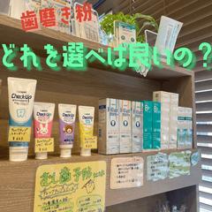SNS動画