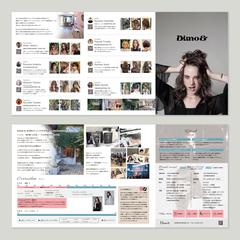 Dimo＆様　A4三つ折りリーフレット