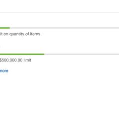 eBayカメラ輸出転売 リミット数