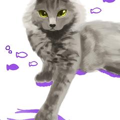 友人の猫ちゃん