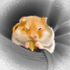 ゴールデンハムちゃん