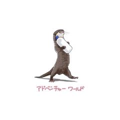 アドベンチャーワールドのカワウソちゃん