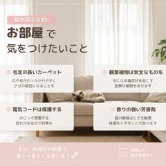 Instagram投稿画像｜猫を迎える前に気をつけたいこと