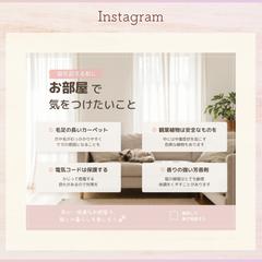 Instagram投稿画像｜猫を迎える前に気をつけたいこと