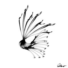 アイコンイラスト作成｜ecstasy.