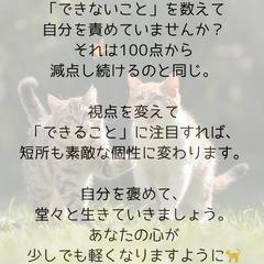 「私は何もできない」いいえ、違います。