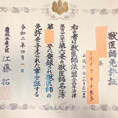 獣医師免許証