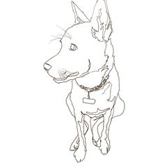 ペットイラスト2